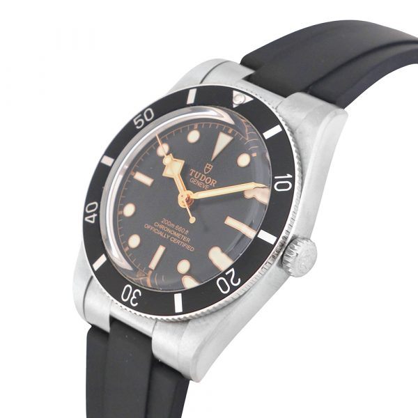 Tudor Black Bay 54-Carrera Collection